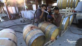 How to make WILD FERMENTED Homemade Grape Wine [upl. by Amihsat]