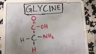 Glycine Structure  Amino Acid Basics [upl. by Adlig]