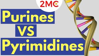 Purines vs Pyrimidines  Understanding Nitrogenous Bases of RNA and DNA [upl. by Nawrocki]