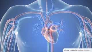 Electrical system of the heart  Circulatory system physiology  NCLEXRN  Khan Academy [upl. by Neve]