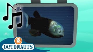 Octonauts  Spook Fish  Cartoons for Kids  Creature Reports [upl. by Maxwell]