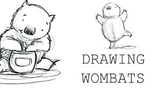 Drawing Wombats [upl. by Chisholm]