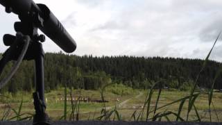 3006 Subsonic steel target at 100m [upl. by Watkin]