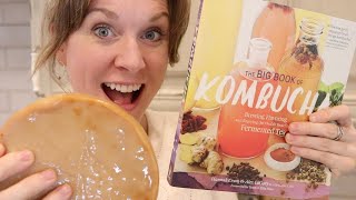 How to BREW YOUR OWN KOMBUCHA  how to MAKE KOMBUCHA at home  Kombucha Tea [upl. by Sldney]