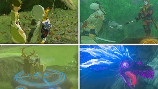 Zelda Breath of the Wild  All 42 Shrine Quests [upl. by Etteval]