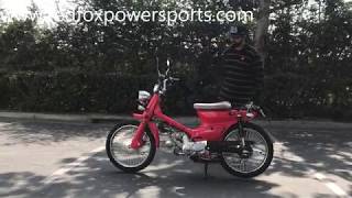 Redfoxpowersports review 50cc RTX Scooter Moped [upl. by Attenrad]