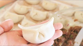 How to Make Chinese Dumplings From Scratch [upl. by Gievlos]