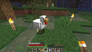 How to get Feathers guide  Minecraft [upl. by Whitelaw29]