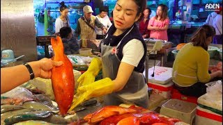 Sanya Fish Market  China  Hainan Island [upl. by Schmidt]