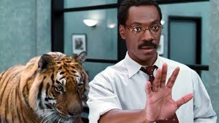 Dr Dolittle 1998 Movie Explained  Movie Explanation [upl. by Thalia]