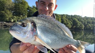 Sea Fishing UK  Gilthead Bream and Bass Fishing [upl. by Sivrad]