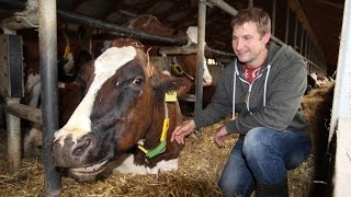 Bio und konventionell Blick in zwei MilchBauernhöfe [upl. by Nesilla]