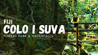 Colo I Suva  Forest Park amp Waterfalls  Fiji [upl. by Ellennahs115]