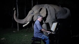 Beethoven “Moonlight Sonata” for Old Elephant [upl. by Jonell]