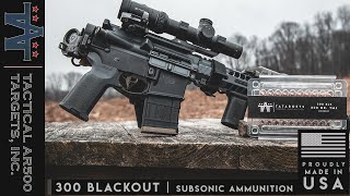 300 Blackout  Subsonic Ammunition [upl. by Anirbaz]