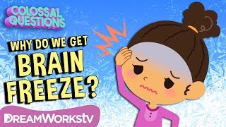 Why Do We Get Brain Freeze  COLOSSAL QUESTIONS [upl. by Burger]