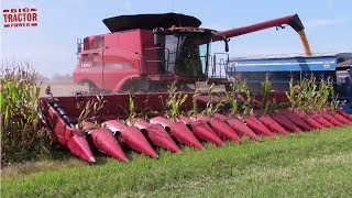 Big COMBINES Harvesting [upl. by Janus334]