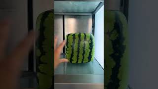 Square Watermelon Found Footage [upl. by Heilman]