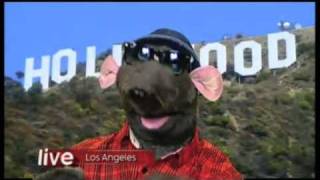 Roland Rat Insults Adrian Chiles and Christine Bleakley BBC 1 The One Show LIVE [upl. by Janis]