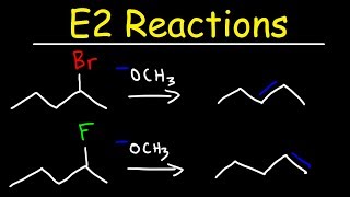 E2 Reaction Mechanism  Hoffman Elimination vs Zaitsevs Rule [upl. by Ahsok]