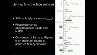 Serine Glycine Biosynthesis [upl. by Holly-Anne]