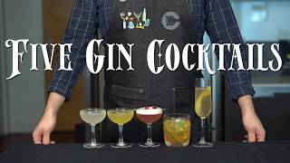 The 5 Easiest GIN Cocktails to Make at Home [upl. by Atalanti667]