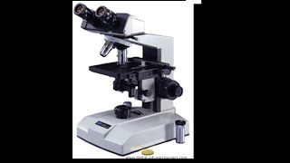 Micro Lab 3 Introduction to Compound Light Microscopy [upl. by Accemahs507]