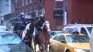 Giddy up NYPD mounted unit keeps NY safe [upl. by Adnaram386]