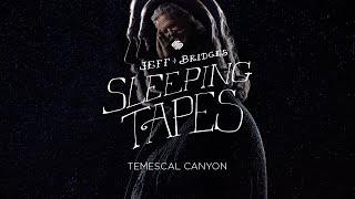 Jeff Bridges Sleeping Tapes  TEMESCAL CANYON [upl. by Etteuqaj]