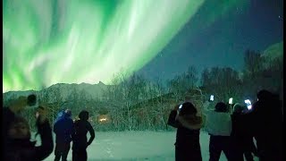 🇳🇴Chasing Lights in Tromsø Norway [upl. by Naujyt]