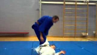 25 Traditional Japanese JiuJitsu Throws [upl. by Asilem143]