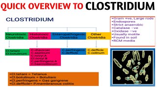 How Does CrossContamination Happen [upl. by Shurlock]