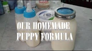 HOMEMADE PUPPY FORMULA RECIPE MILK REPLACEMENT [upl. by Ierbua769]