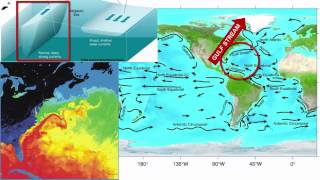 Surface Currents [upl. by Lewiss]