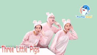 The Three Little Pigs  Paopao Shark Super Fun English Stories for Kids [upl. by Cramer]