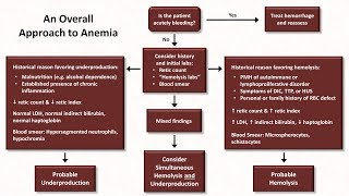 Anemia Lesson 5  An Approach to Diagnosis [upl. by Charyl]