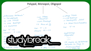 Polypol Oligopol Monopol  Mikroökonomie [upl. by Dorlisa747]