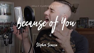 Because of You  Kelly Clarkson cover by Stephen Scaccia [upl. by Nahsab]