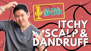 Dr Sugai Explains Itchy Scalp and Dandruff What Shampoos to Consider [upl. by Doyle]