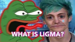 WHAT IS LIGMA [upl. by Leahcimaj468]