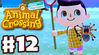 Catching a Tarantula  Animal Crossing New Horizons  Gameplay Walkthrough Part 12 [upl. by Sybila104]