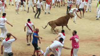 Running of the Bulls in Pamplona Spain running of bulls Spanish Bull Run Pamplona Bull Ring [upl. by Marlette]