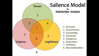 Stakeholder Salience Model [upl. by Emiolhs]