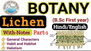 Lichens BSc 1st Year Botany Lichen BSc 1st Year BotanyGeneral CharactersBSc 1st year 2nd Paper [upl. by Eirelam]