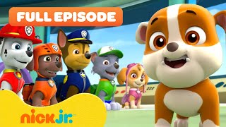 Rubble Joins the PAW Patrol and the Pups Save a Walrus  FULL EPISODES  Nick Jr [upl. by Aihsrop591]