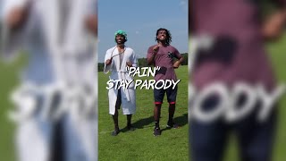 quotPAINquot  STAY PARODY  Dtay Known shorts [upl. by Nedak]