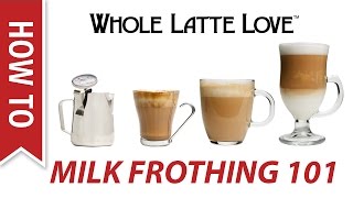 Milk Frothing for Beginners [upl. by Etnoval]