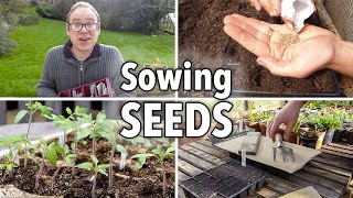 Sowing Seeds Absolutely Everything You Need to Know [upl. by Whang]