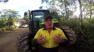 Lantana Removal Queensland The Truth about Poison Lantana [upl. by Bilak318]