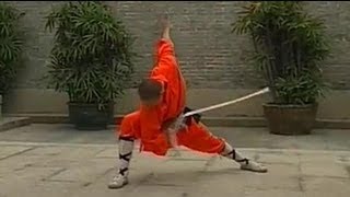 Shaolin Kung Fu weapon breezing sword [upl. by Nalyad]